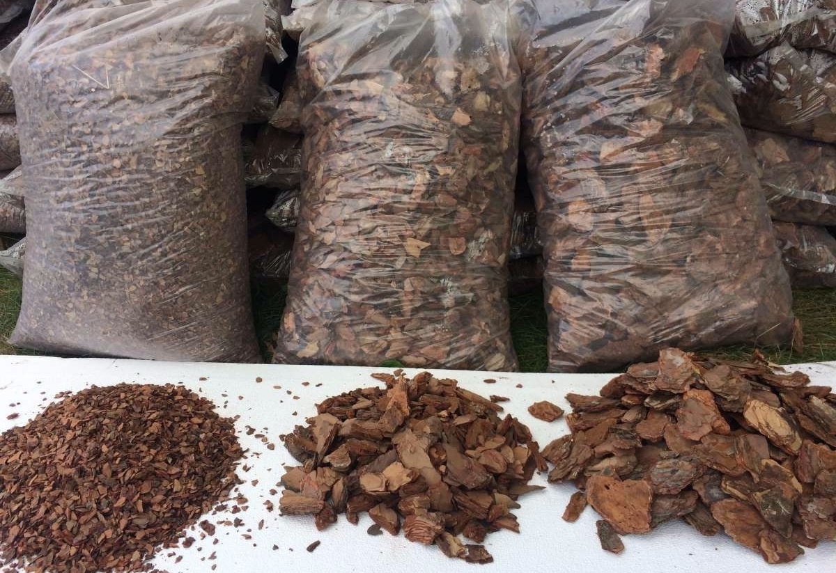 Кора сосны весовая