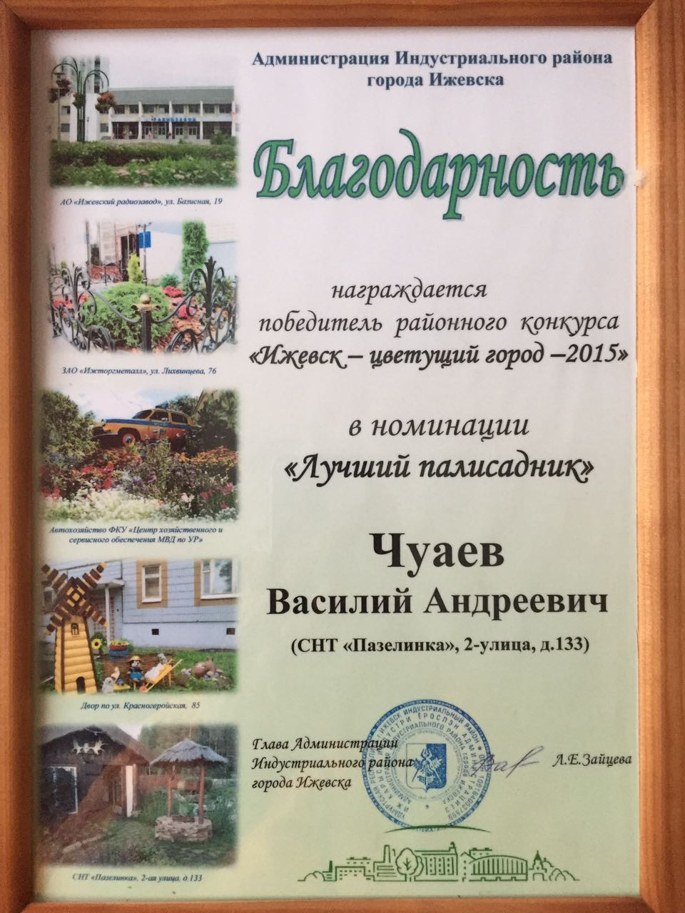 Благодарность Чуаев Василий Андреевич КаменьТут18