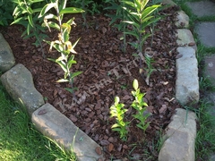 Камень бордюрный