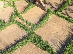 Плиты Слоновая кость