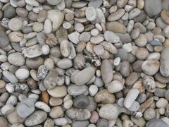 Галька Черноморская