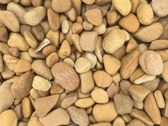 Крошка галтованая Песчаник