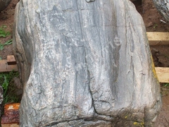 Валун Алтайский