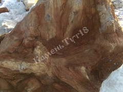 Валун Окаменевшее дерево Пенек