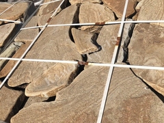 Камень Слон галтованый