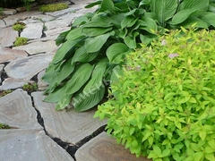 Плиты Сандал