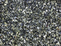 Крошка Змеевик