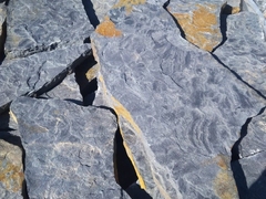 Дракон серо-синий