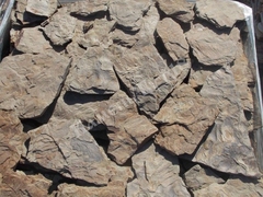 Камень Дракон зеленый