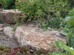 Валун Тигровый