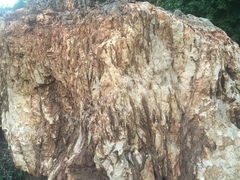 Валун Орешник